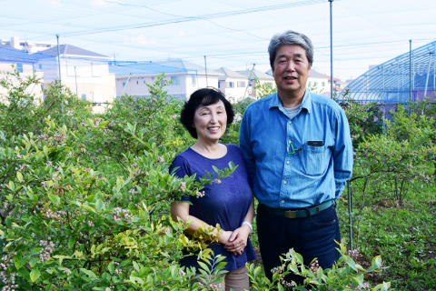 調布柴崎　ブルーベリー農園