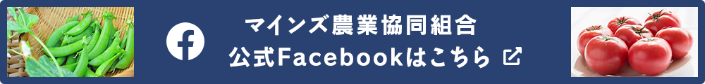 マインズ農業協同組合 公式Facebookはこちら