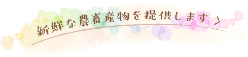 新鮮な農畜産物を提供します